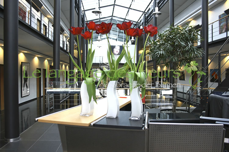 decoración de la recepción, triples, dobles. tulipanes rojos